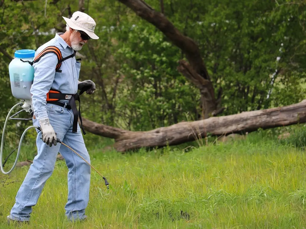 A tech in gloves and long sleeves spraying weeds in the grass with a backpack sprayer