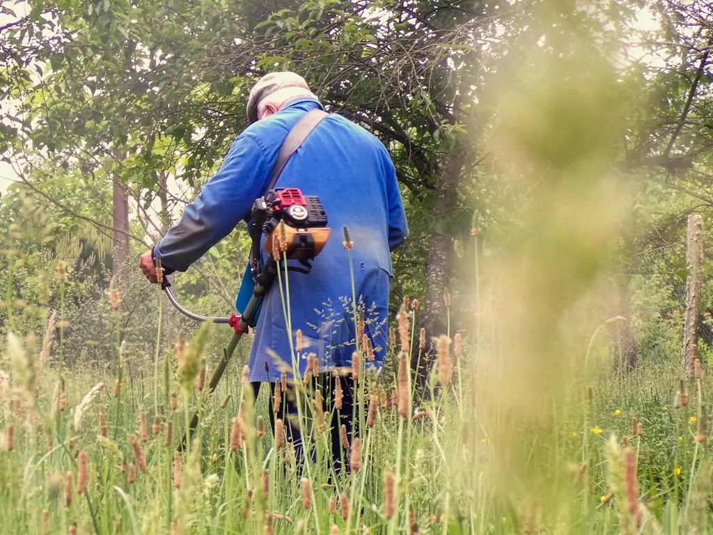 A worker cutting tall, overgrown weeds with a brush cutter